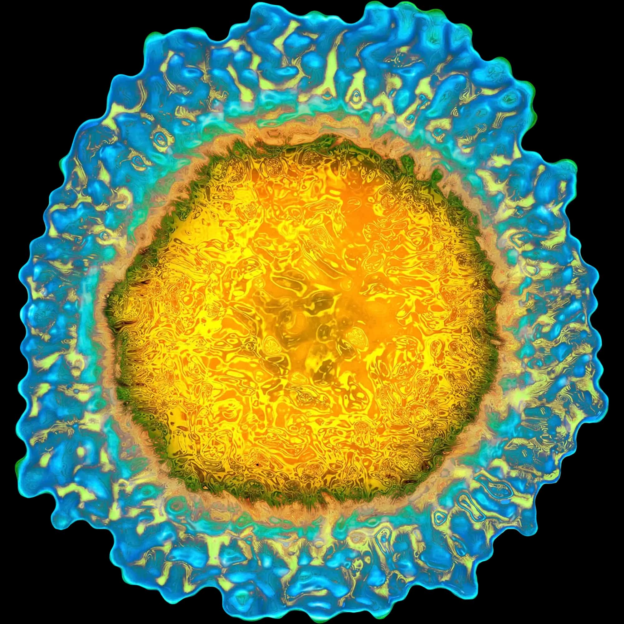 Influenza