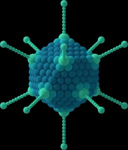 Vector, the virus shop