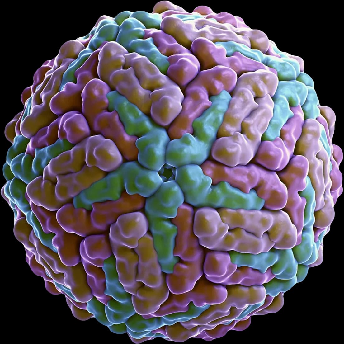 Dengue