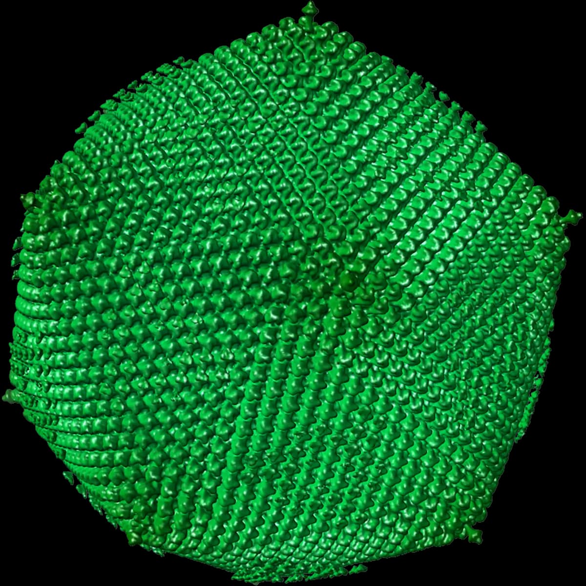 Faustovirus